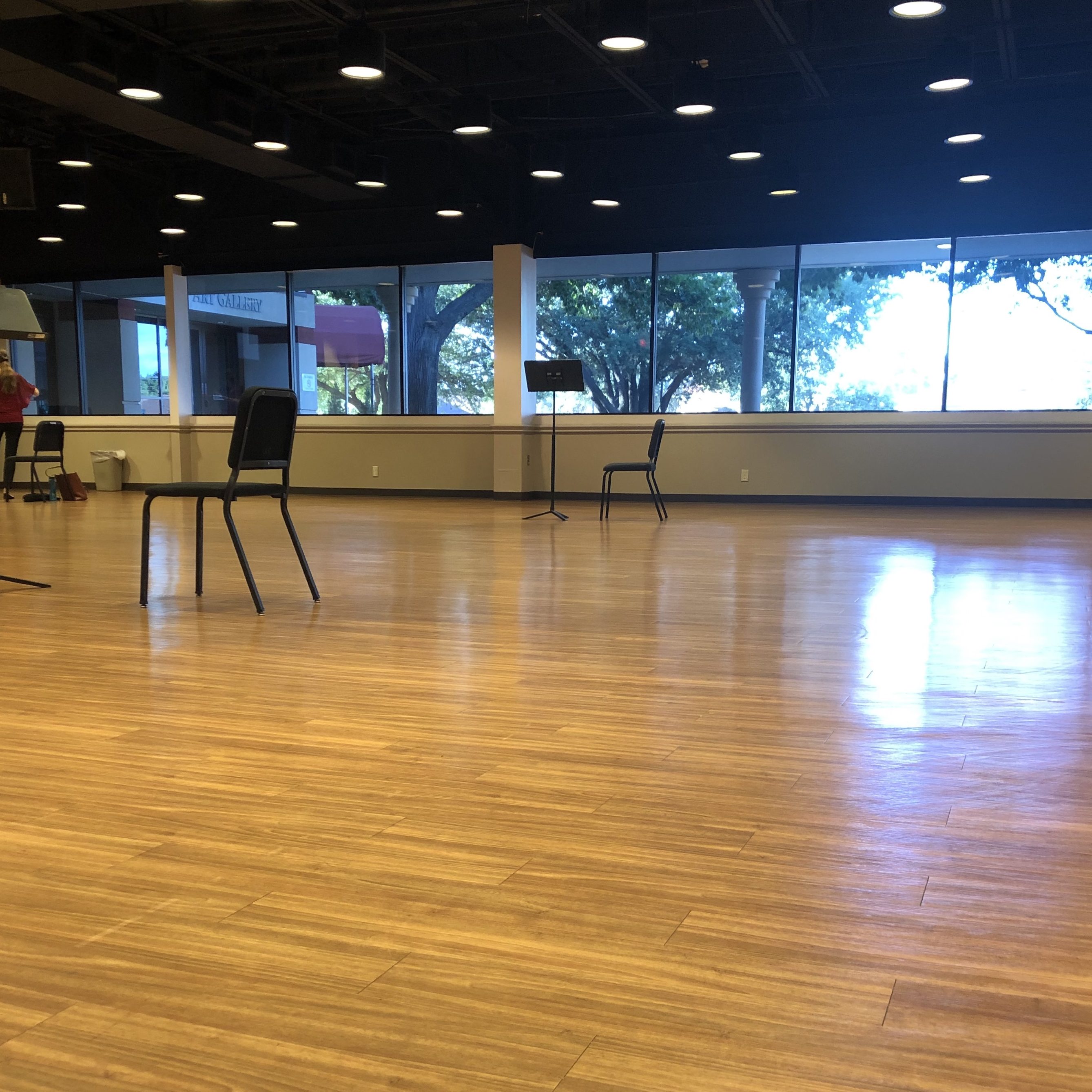 Las Colinas Symphony Orchestra Principal Flute audition Alyse Hokamp