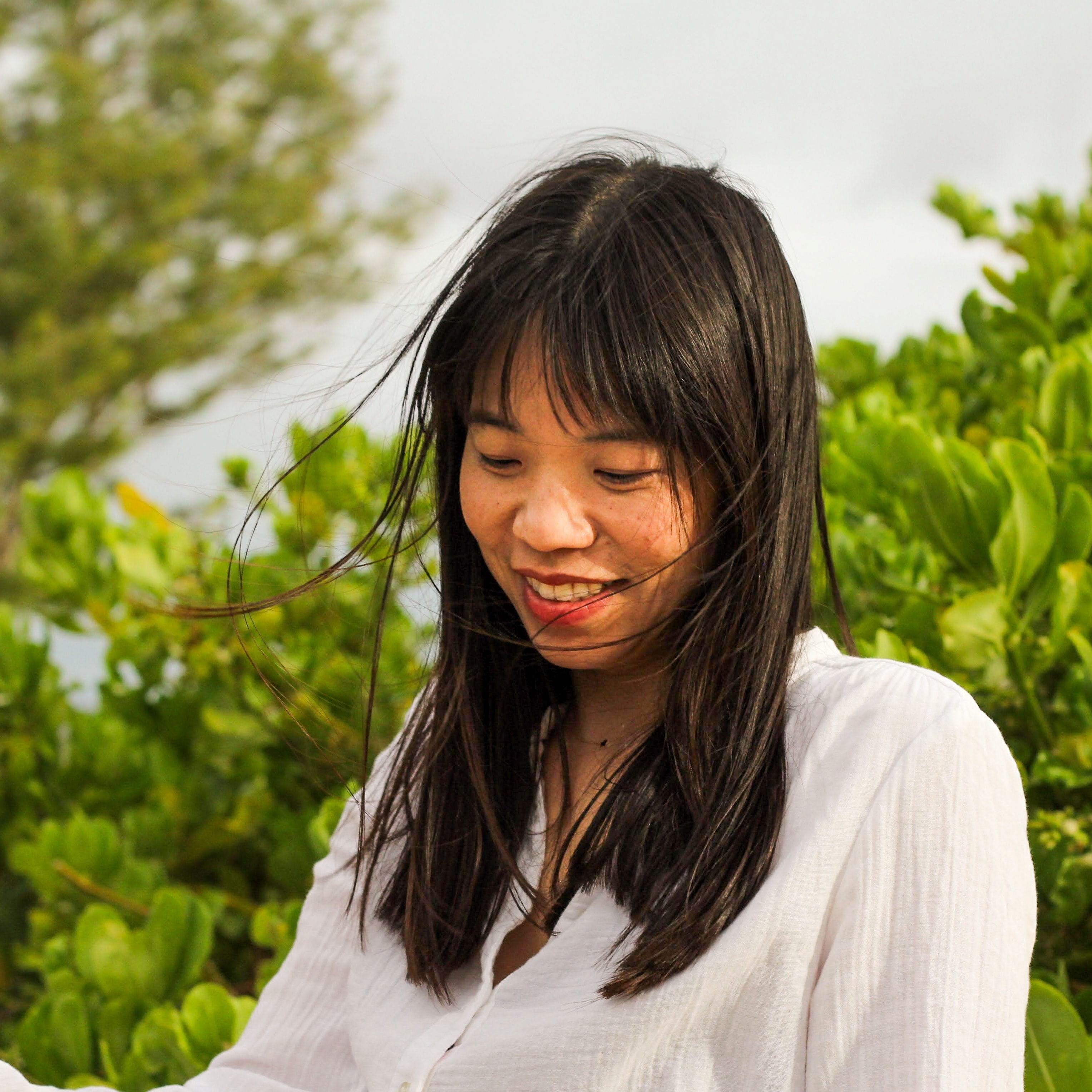 Media fast/Fast media